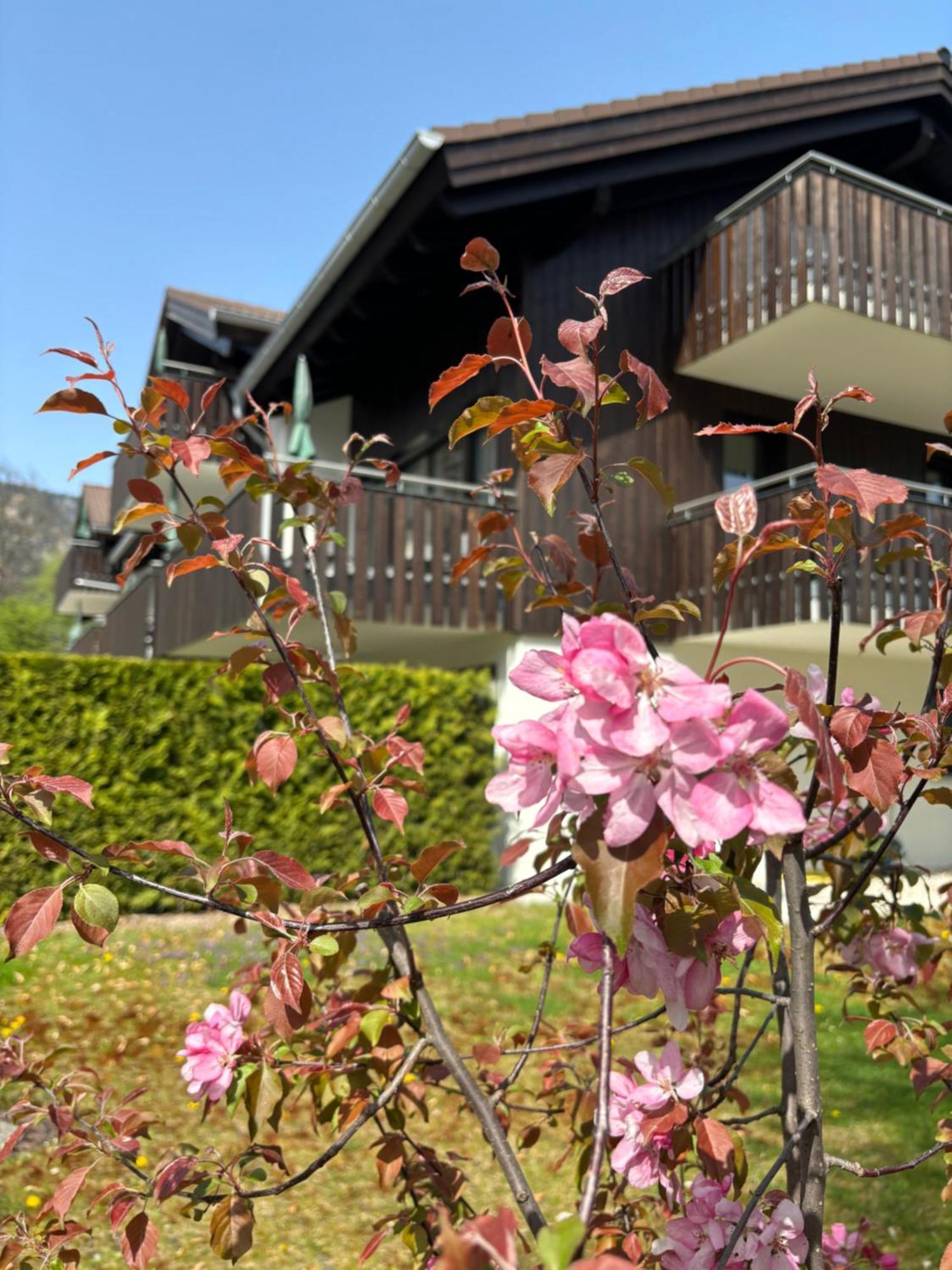 Bader Suites Garmisch-Partenkirchen Bagian luar foto